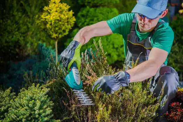 landscaping services New Straitsville